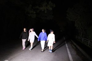 sub_image100442